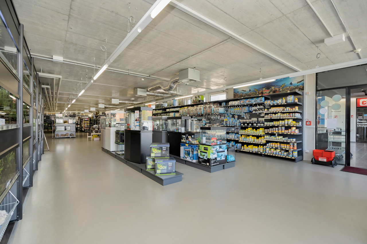 983m² commercial, foto 4 di 10