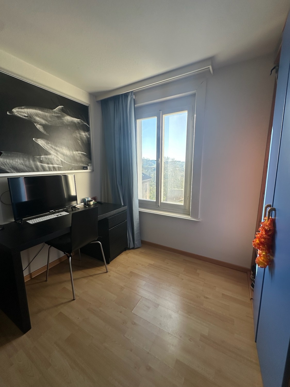 4 ½ Zimmer-Wohnung