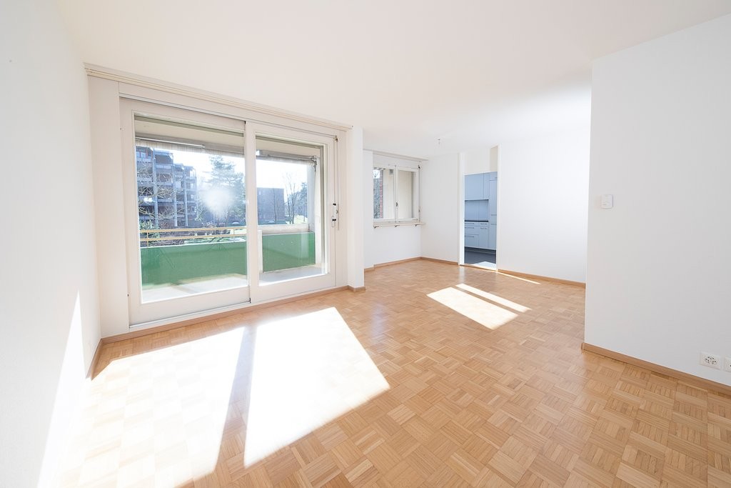 3 ½ rooms apartment (4)