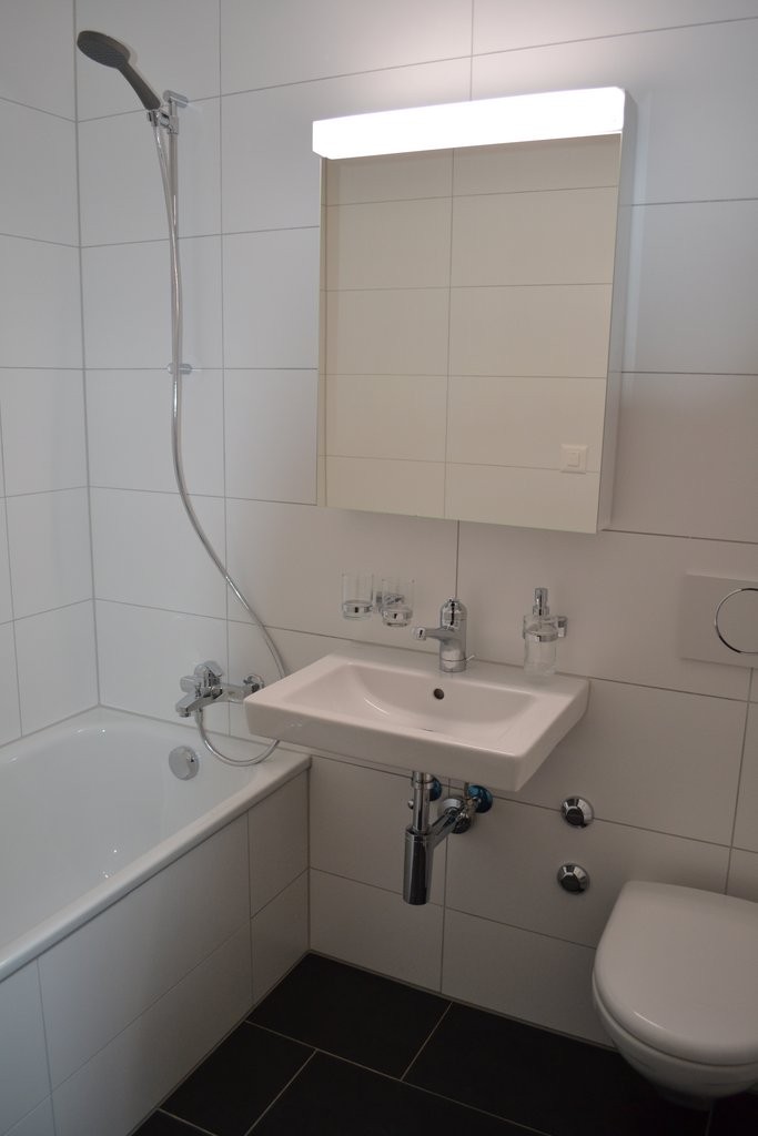 appartamento di 2 ½ locali, foto 3 di 5