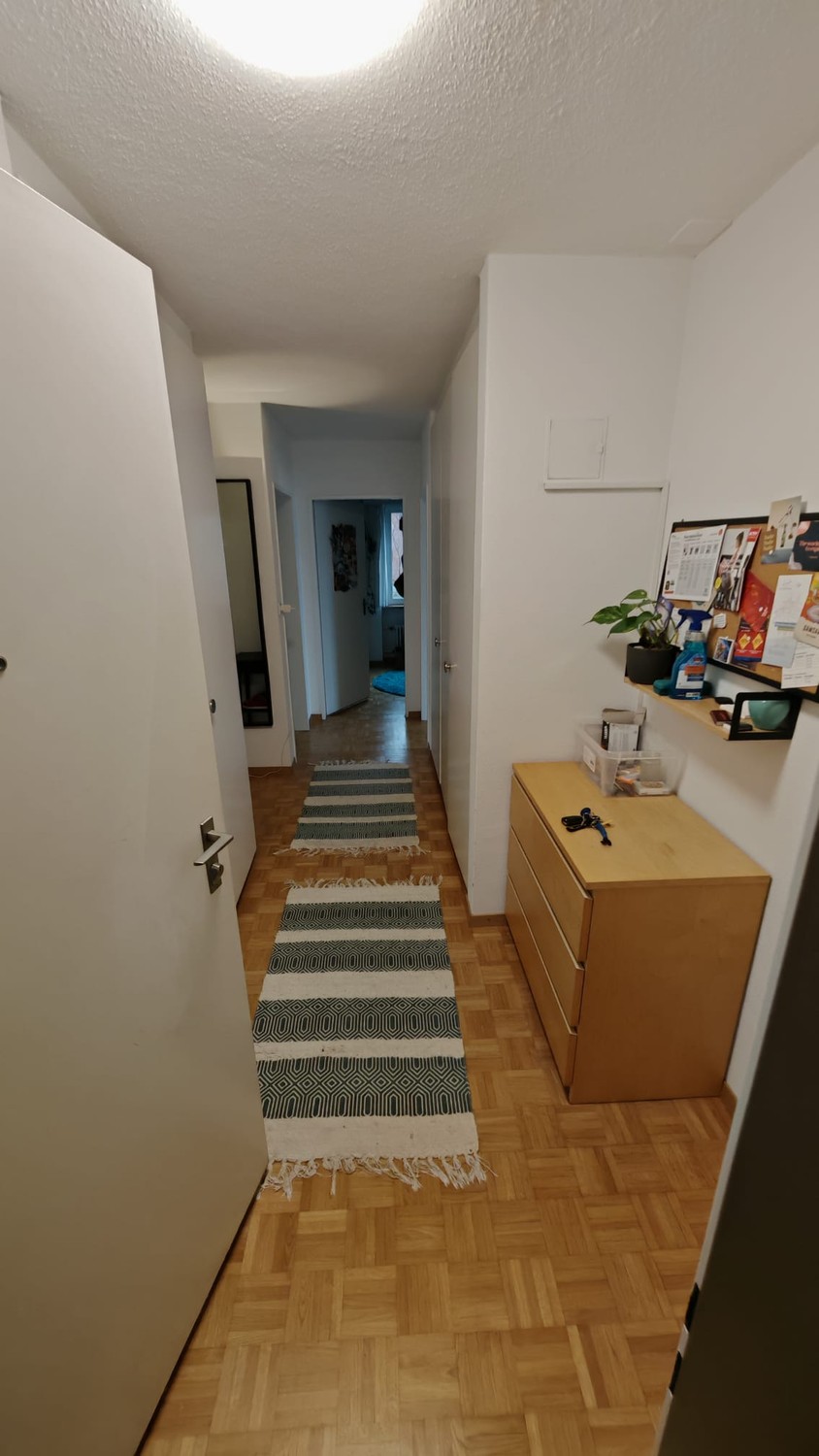 Room in a shared flat