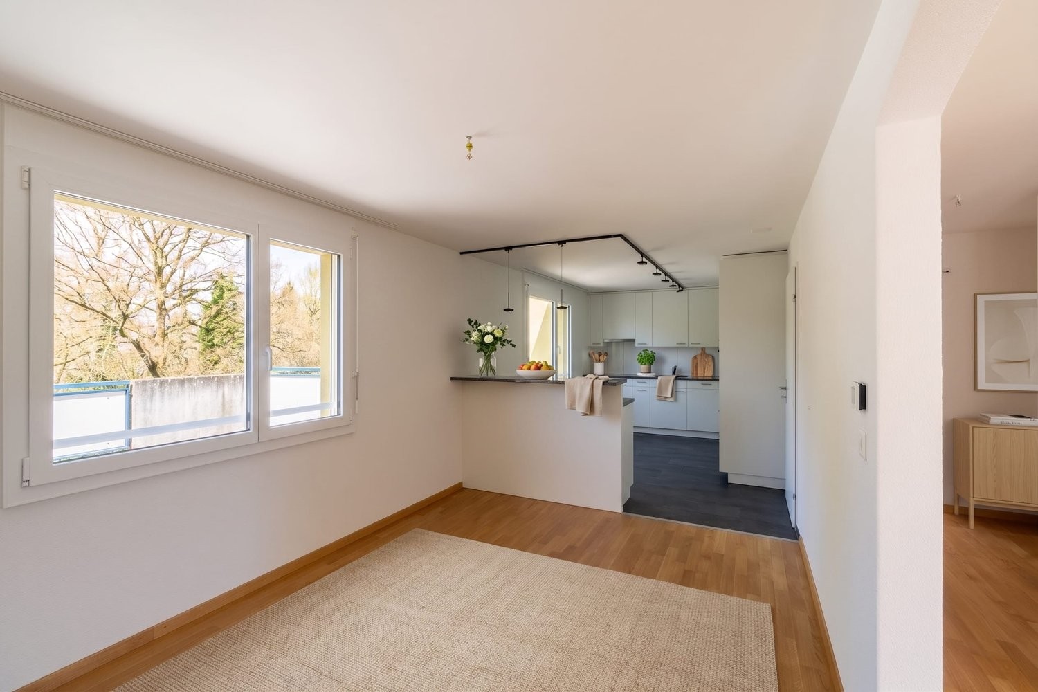 4 ½ rooms apartment, photo 3 of 10