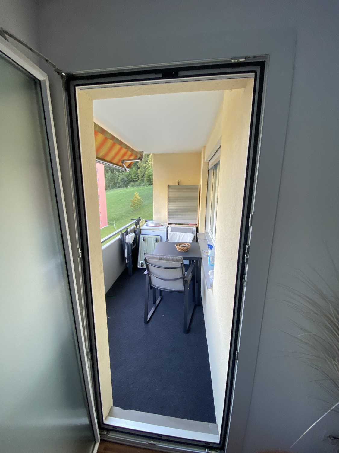 Room in a shared flat