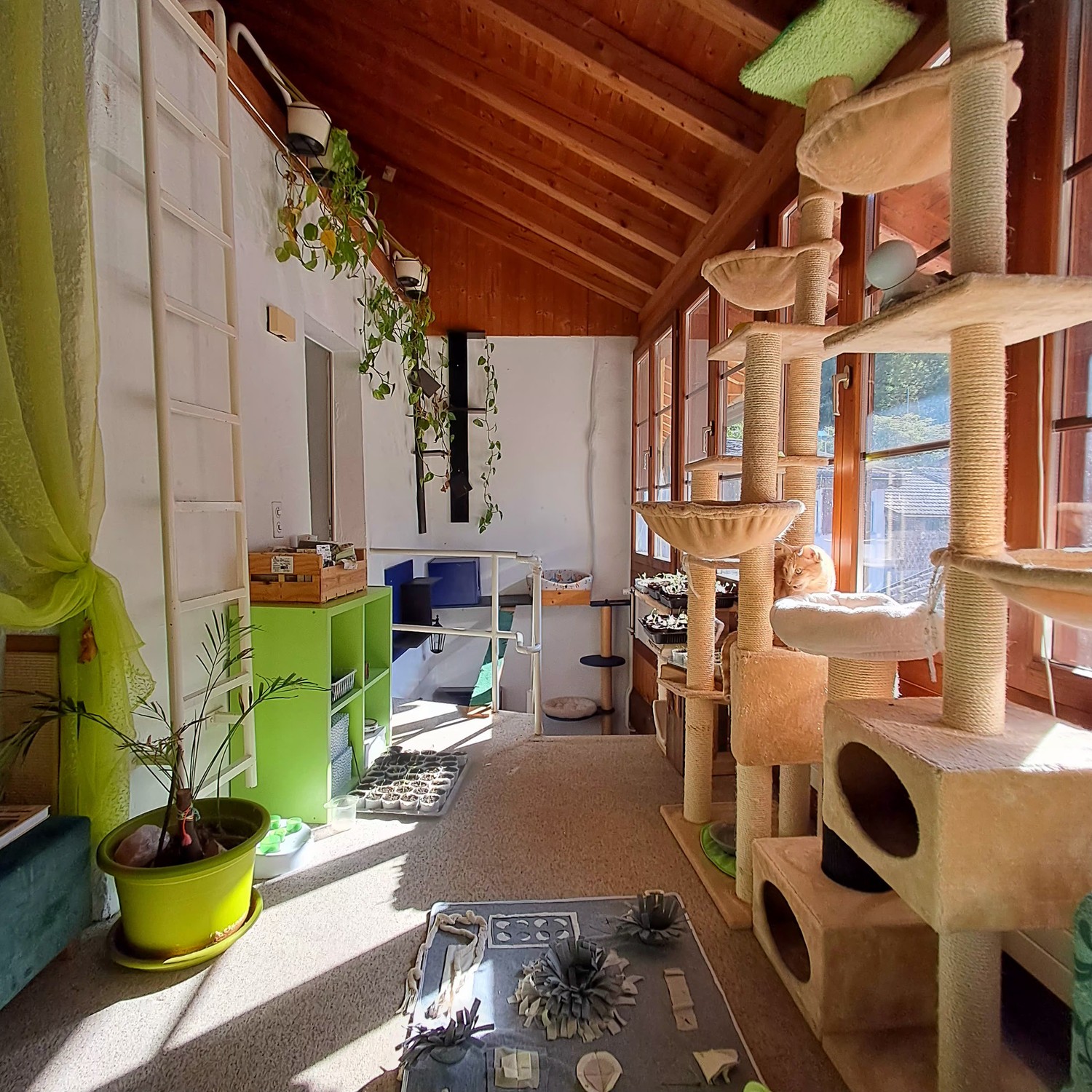 1 ½ rooms apartment