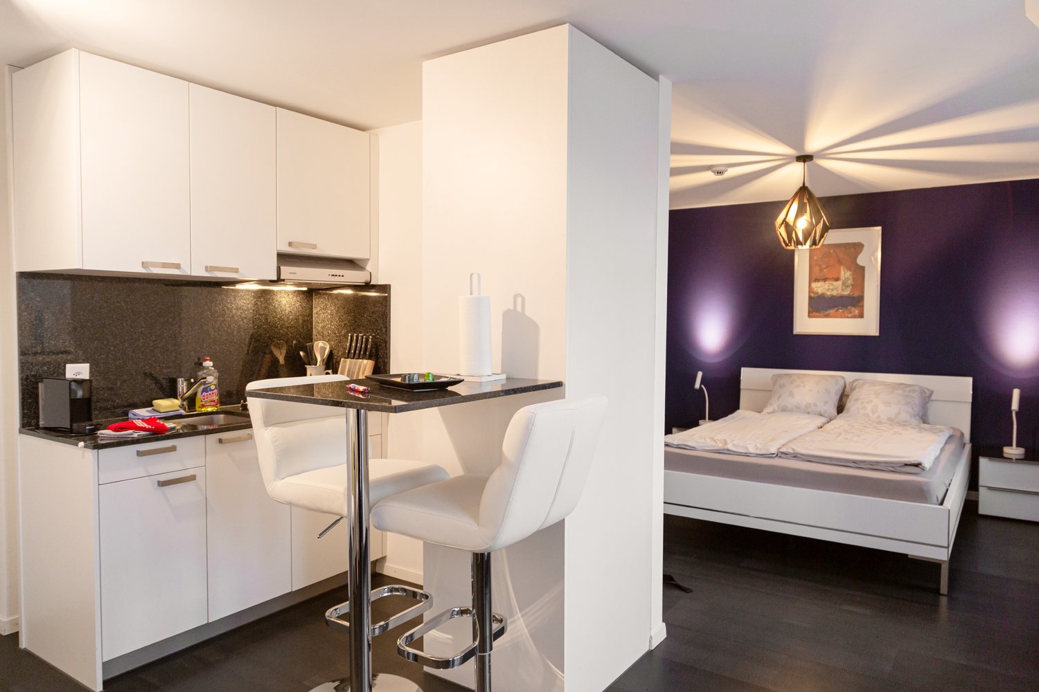 1 ½ pièces appartement meublé