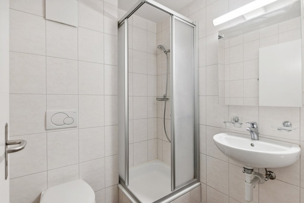 3 ½ rooms apartment (5)