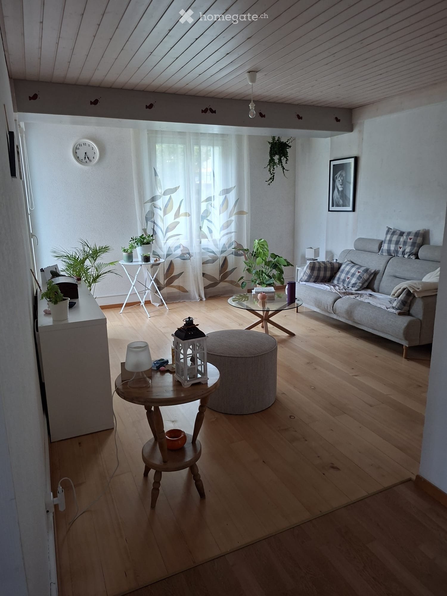 2-Zimmer-Wohnung