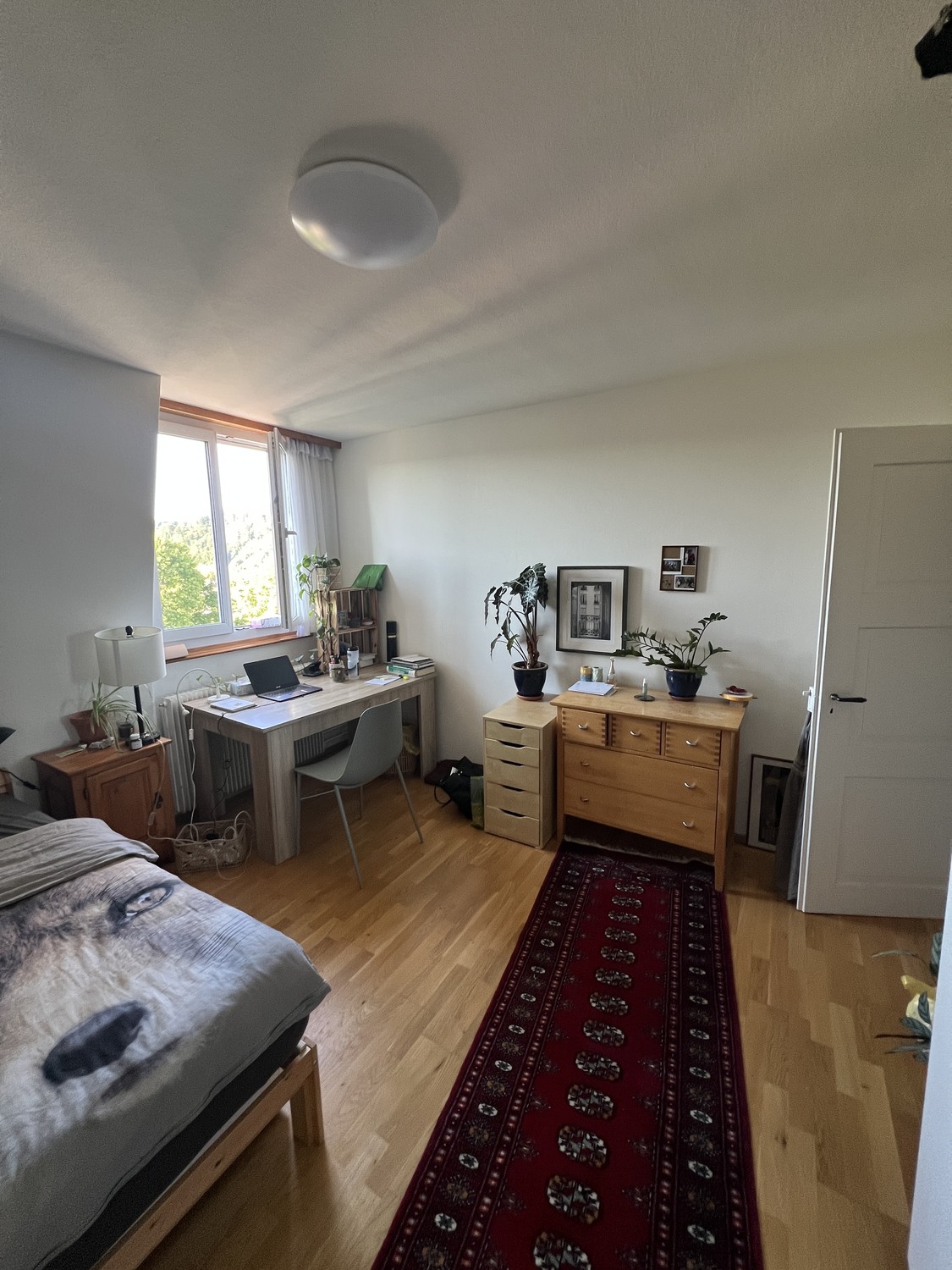 Room in a shared flat, photo 1 of 8