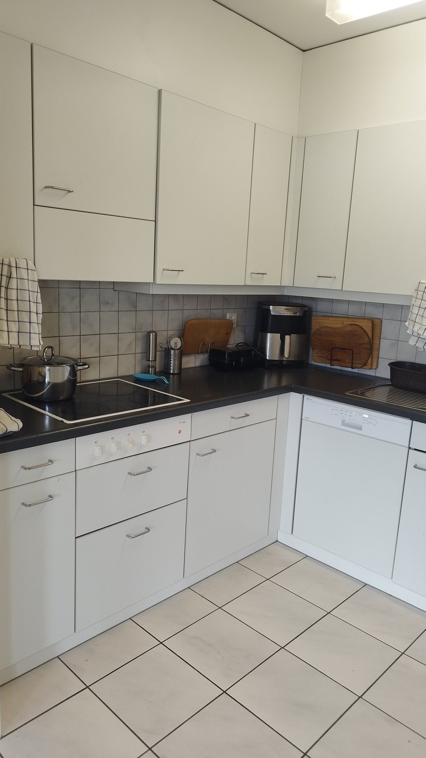 3 ½ rooms furnished flat