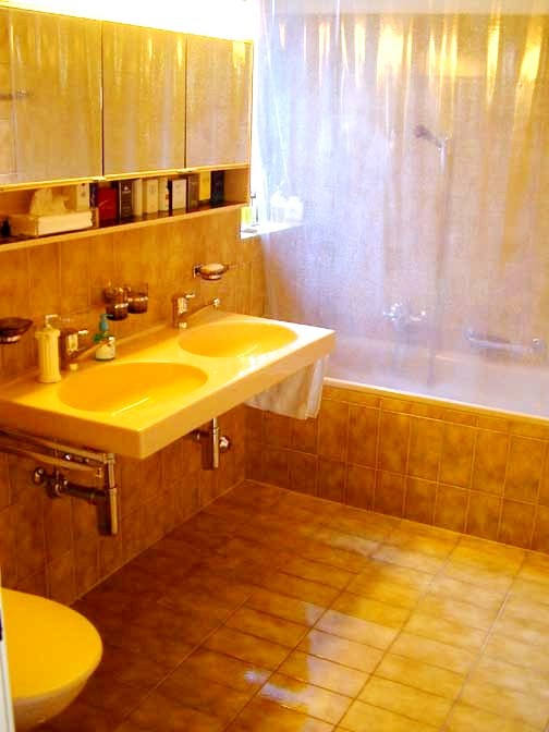 2 ½ Zimmer Wohnung