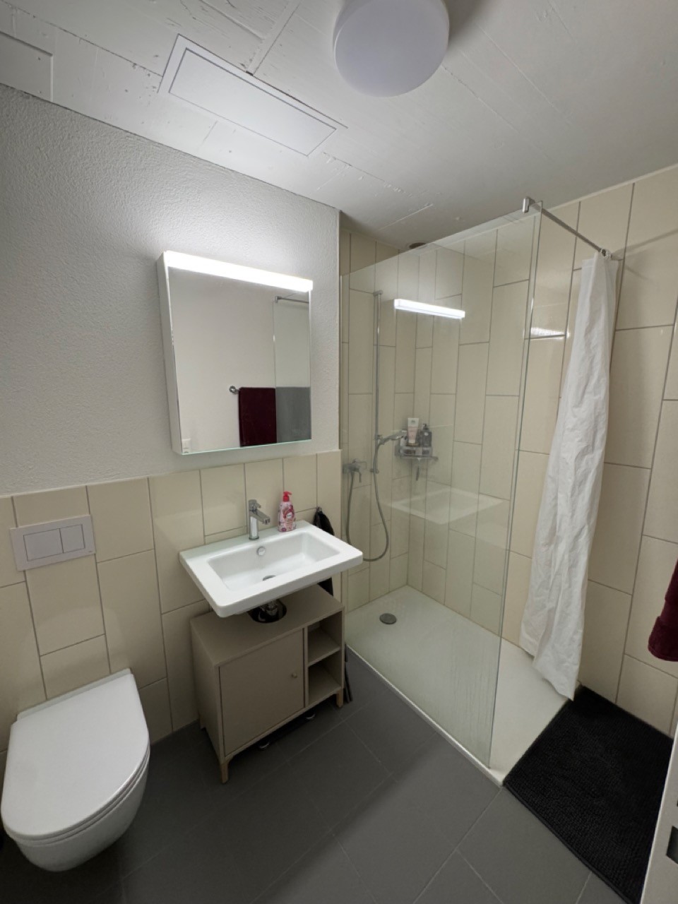 Appartement de 4 ½ pièces