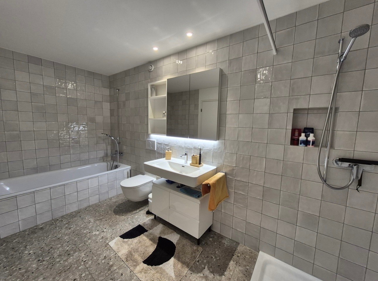 Appartement de 4 ½ pièces