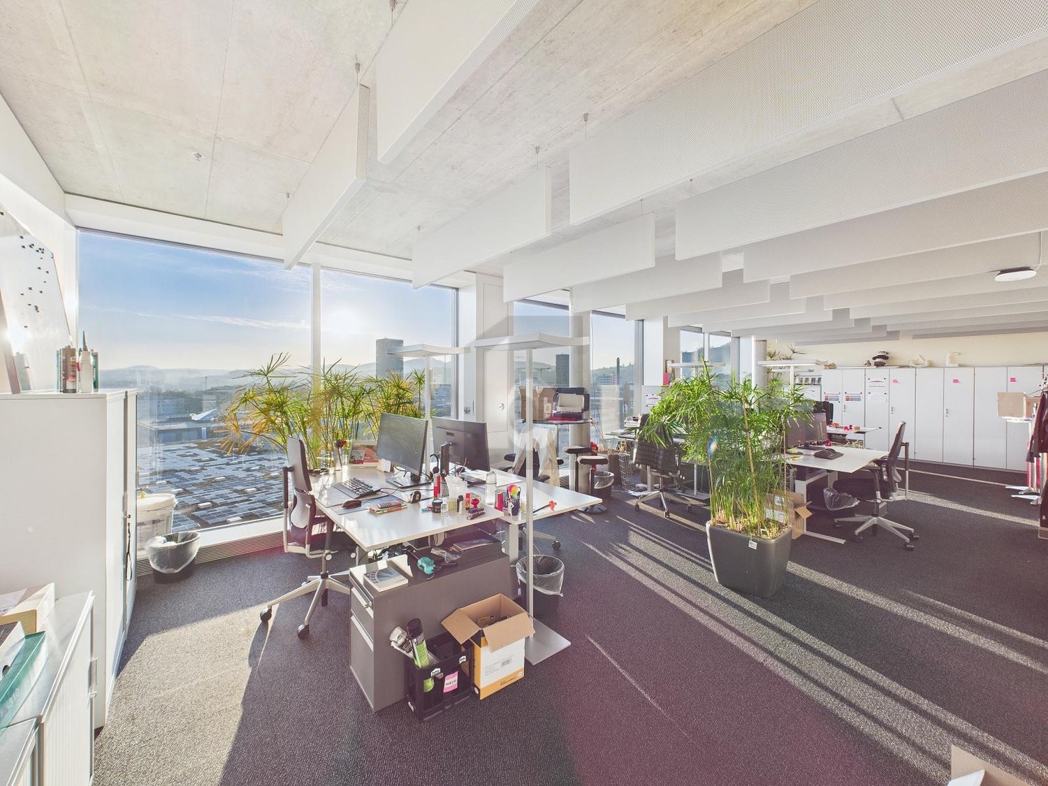 334m² office, photo 3 of 4