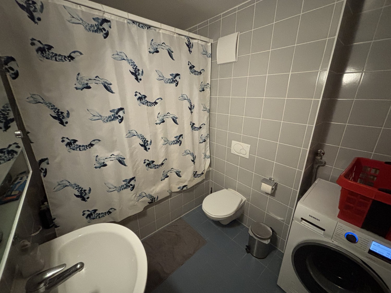 Room in a shared flat