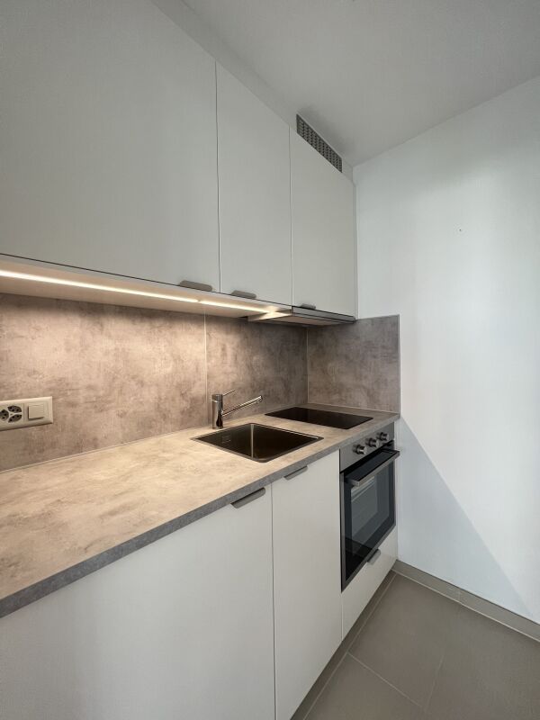 1 ½ pièces appartement