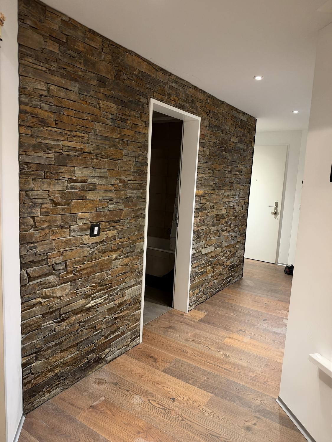 Appartement de 3 ½ pièces