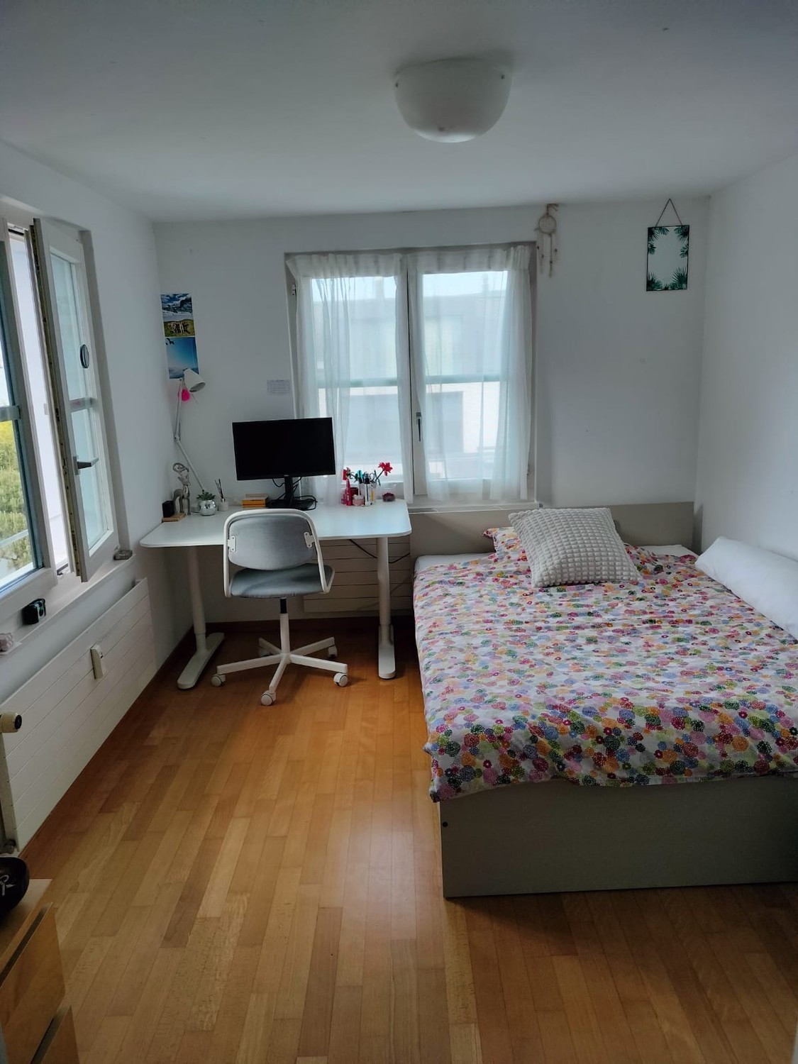 Room in a shared flat