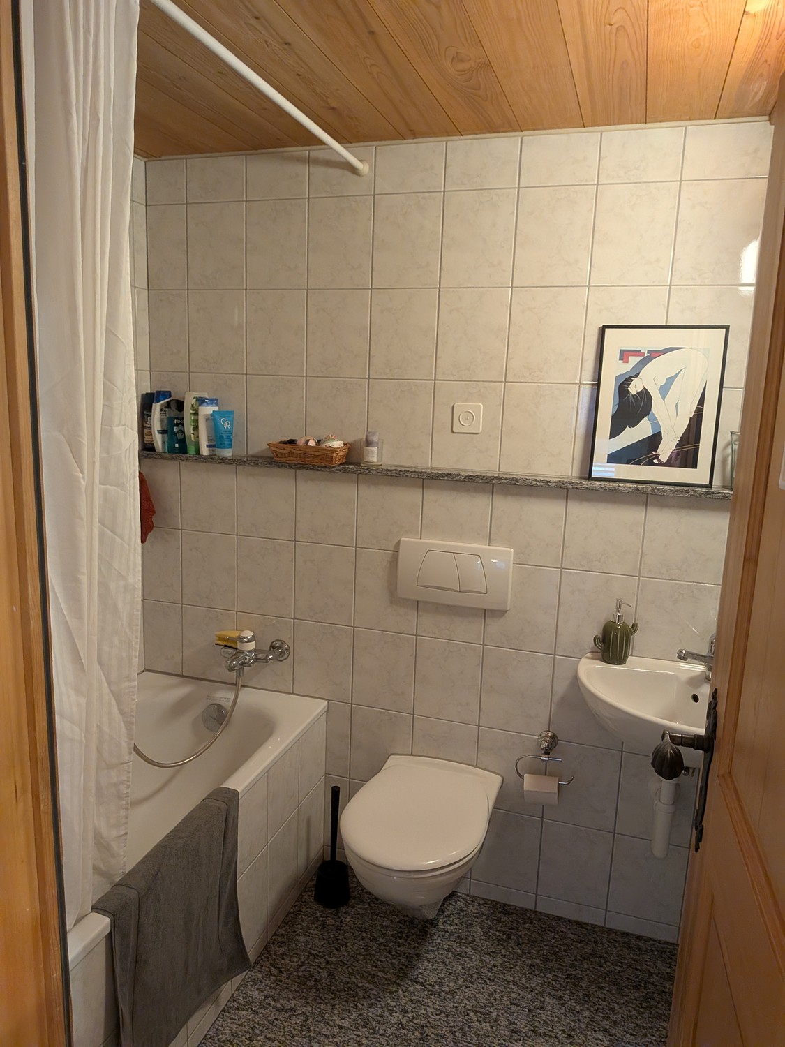 2 ½ rooms apartment, photo 9 of 9