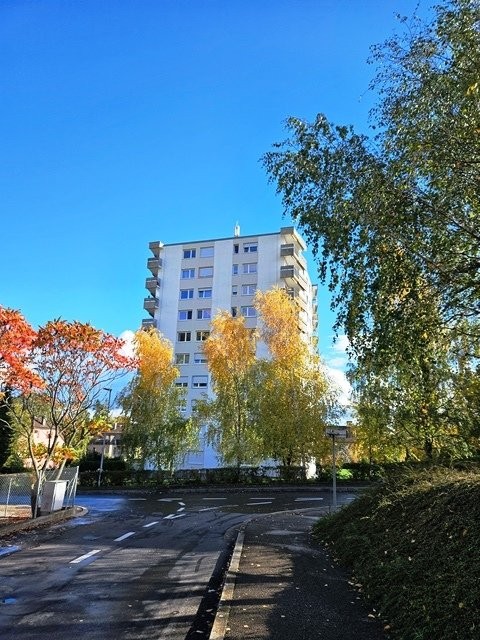 4 ½ Zimmer-Wohnung