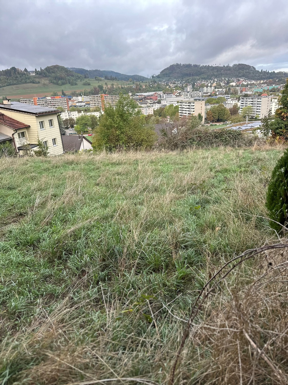 2010m² building land