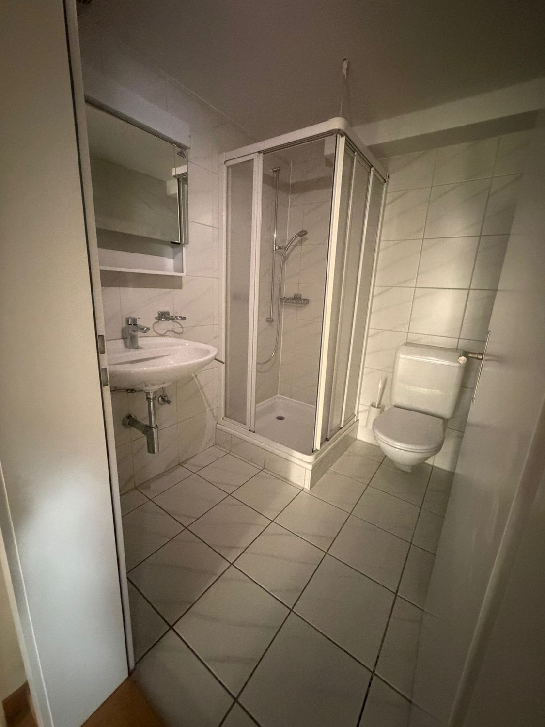 2 ½ room roof flat

2 walking minutes to Winterthur station.

For rent is an attractive 2.5-room roof apartment at Paulstrasse 23 in Winterthur.
The apartment was freshly renovated in July and presents itself in a well-maintained and modern condition. Due to its location in the attic, it offers a co, photo 10 of 10