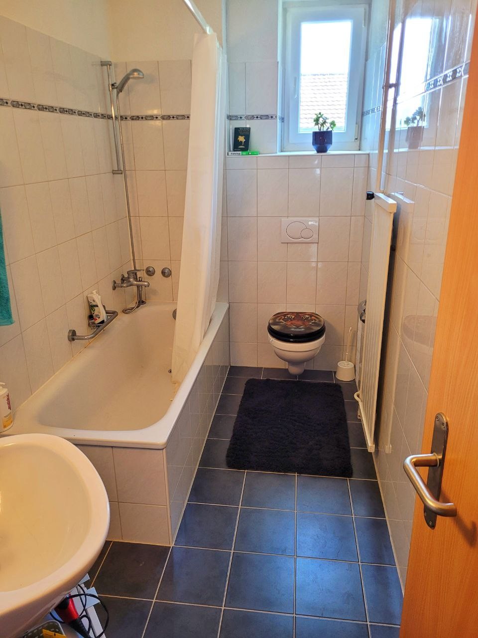 Room in a shared flat