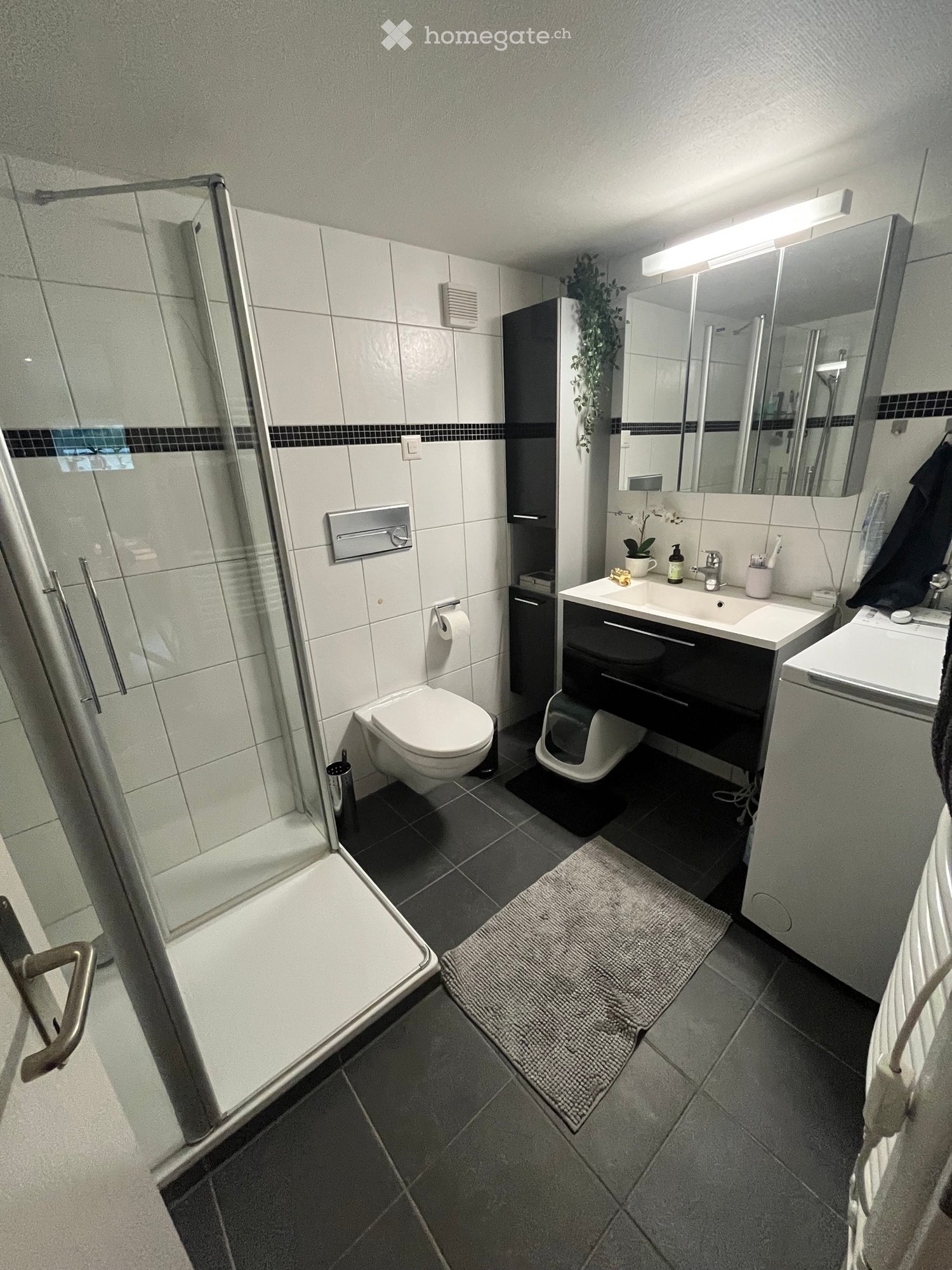 3 rooms apartment
