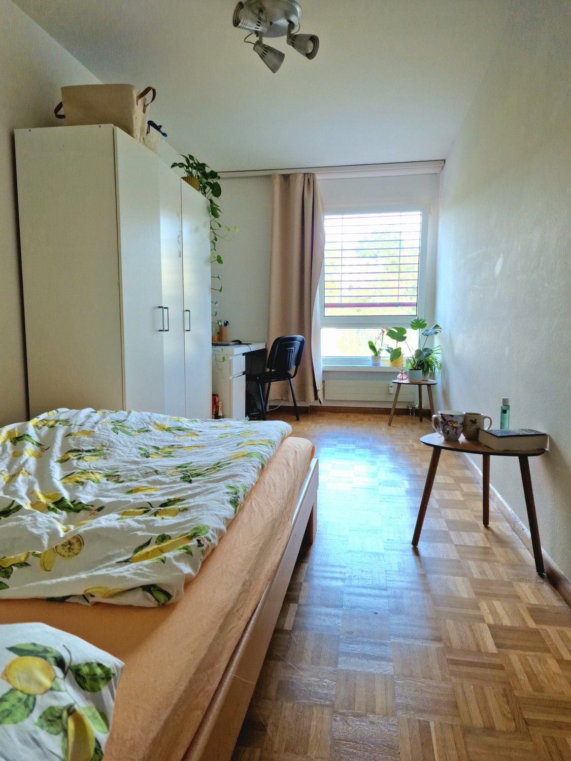 Room in a shared flat