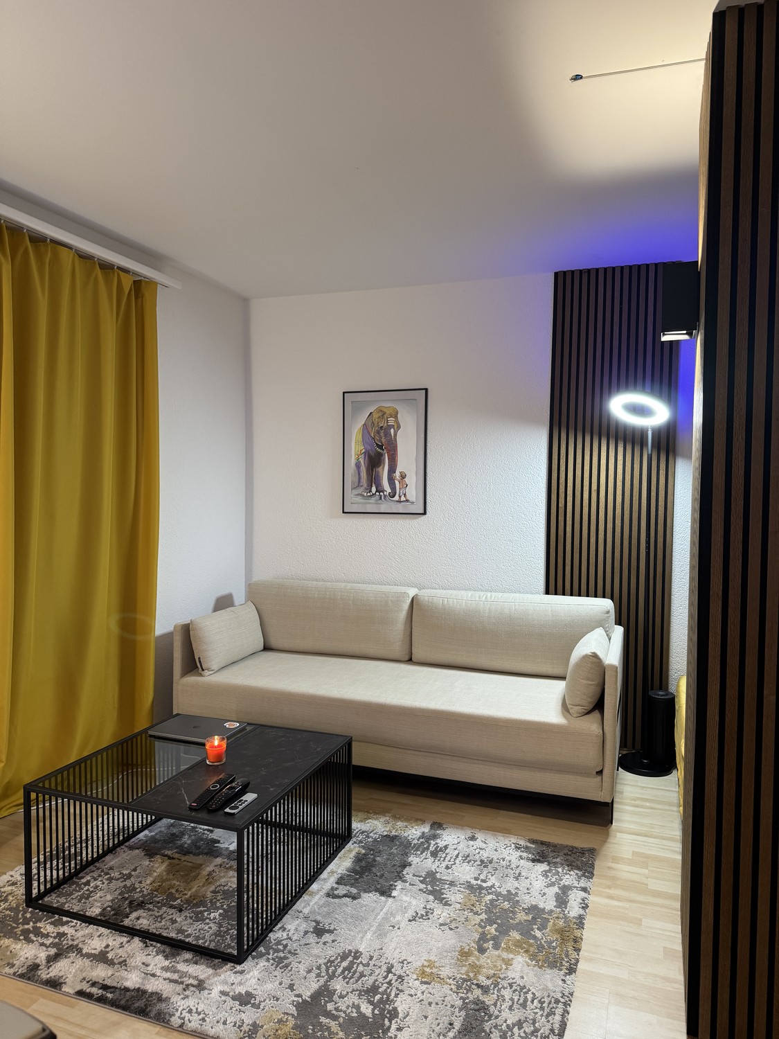 Appartement de 1 ½ pièces