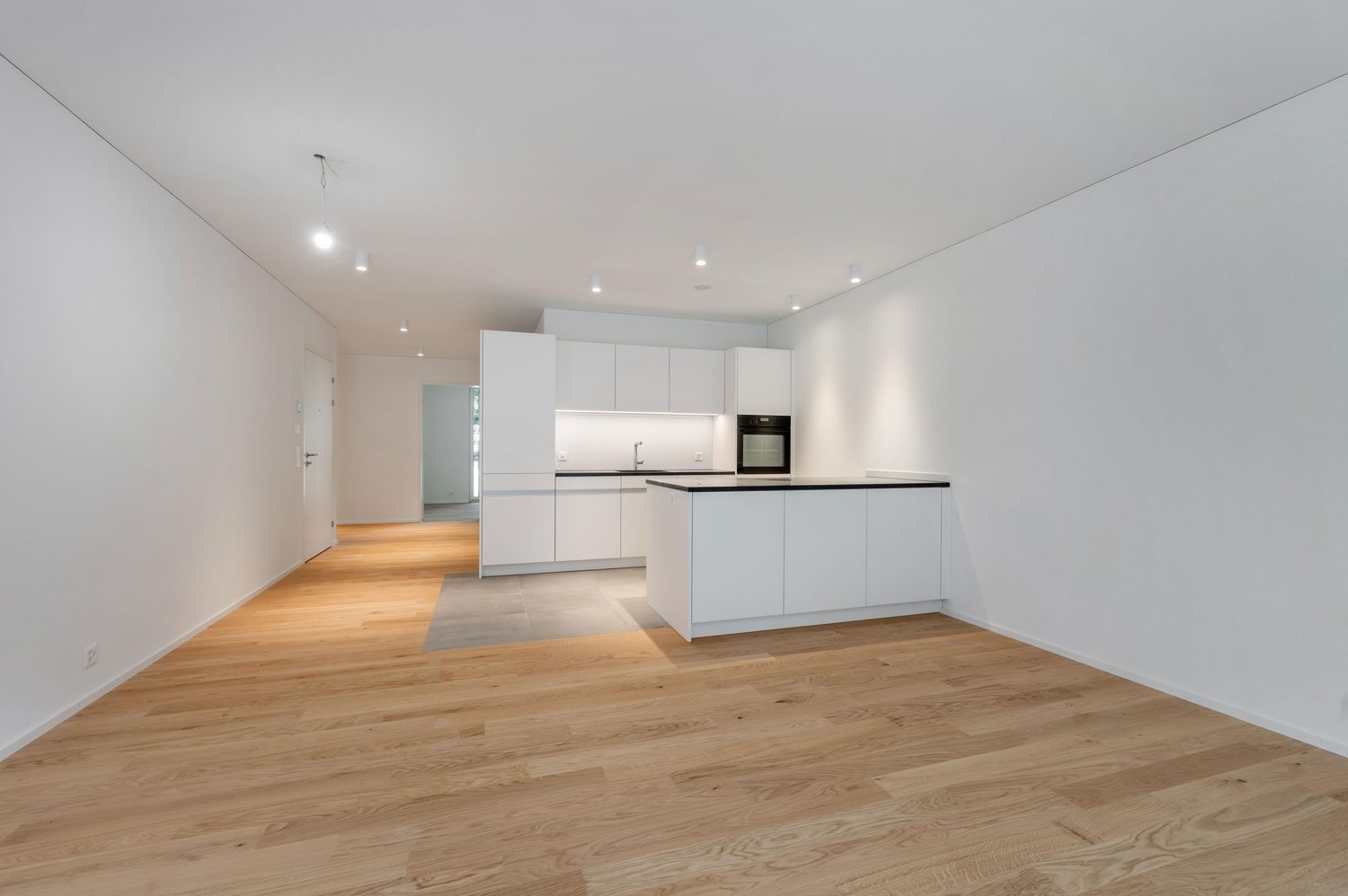 1 ½ rooms studio (5)