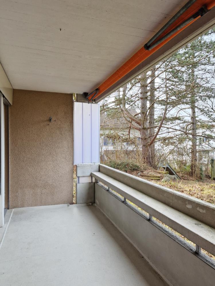4 ½ rooms apartment