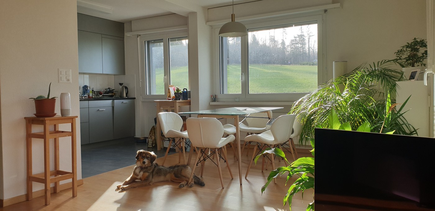Zimmer in einer WG, Foto 2 von 7