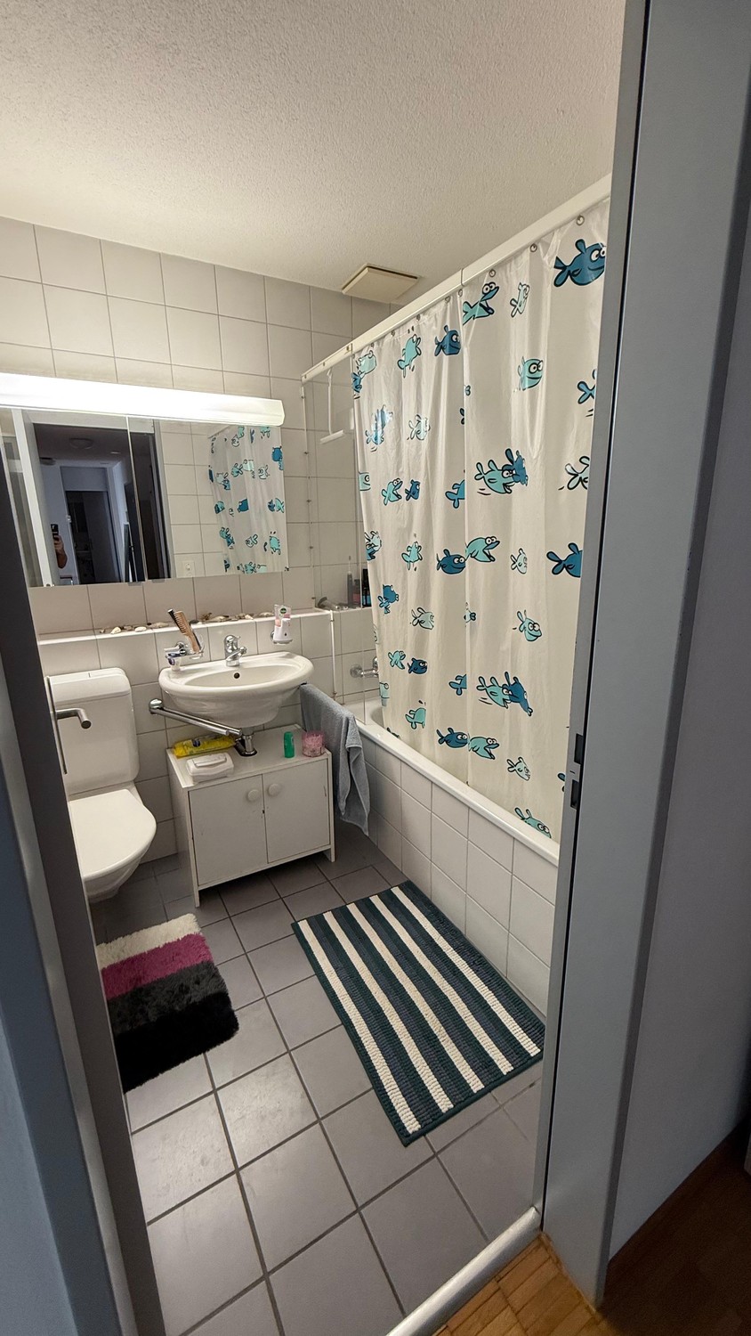 3 ½ Zimmer Wohnung, Foto 8 von 10