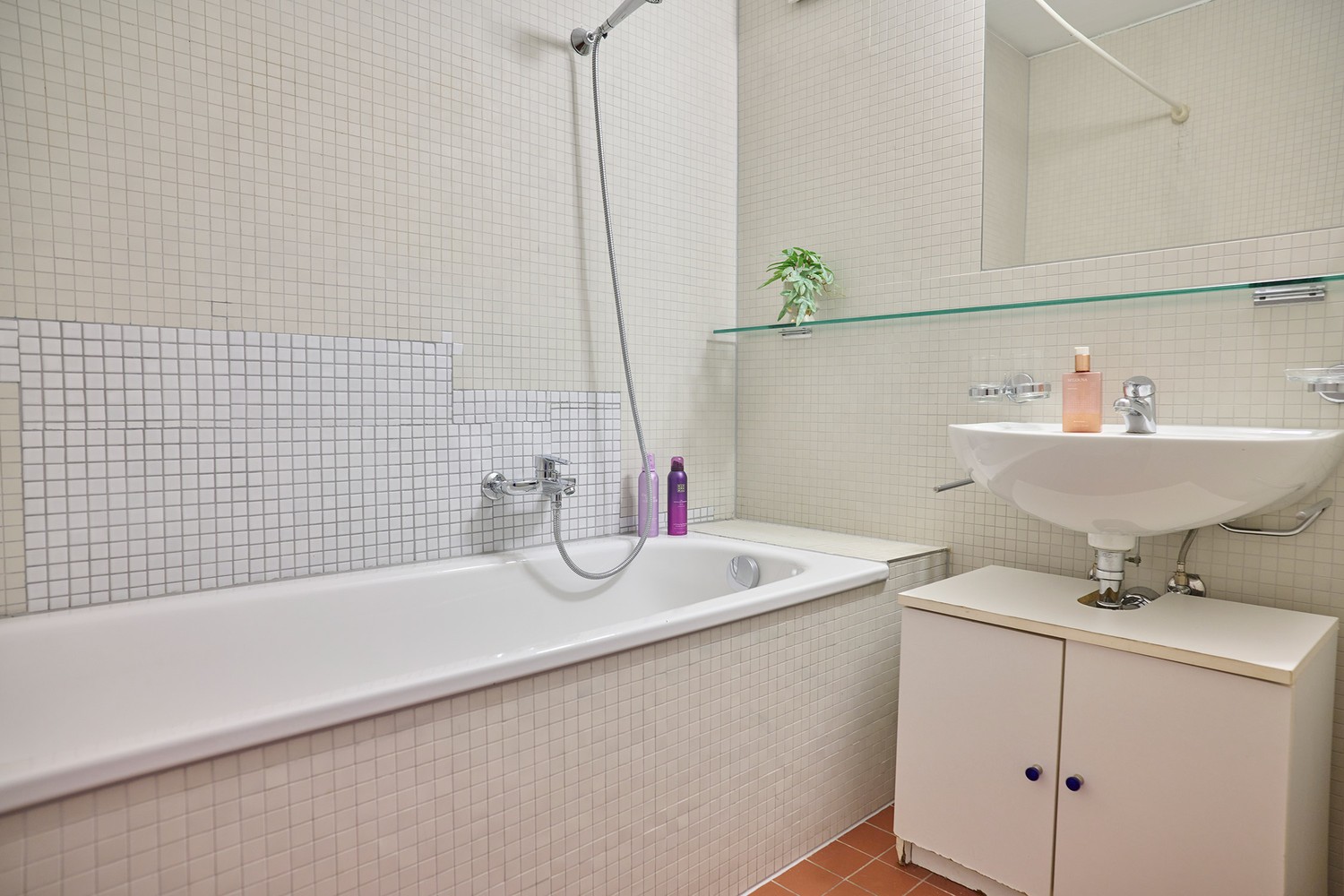 3 ½ rooms apartment (8)