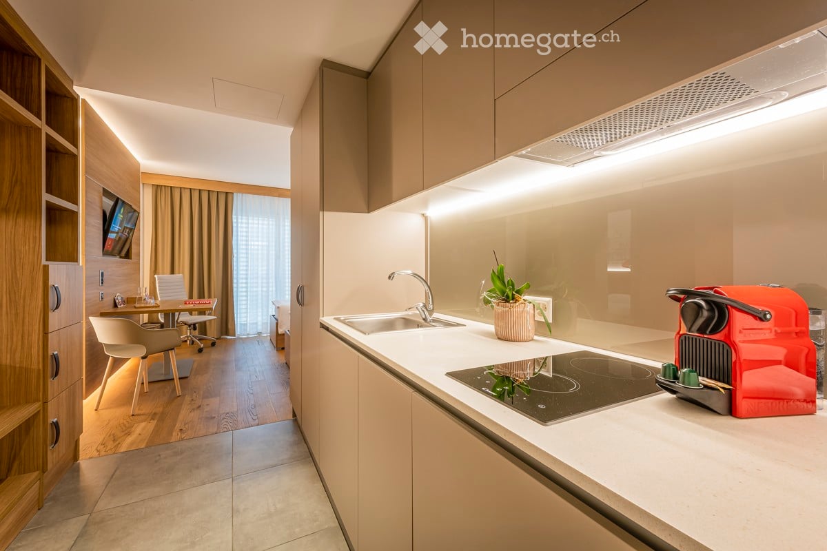 1 room loft (2)