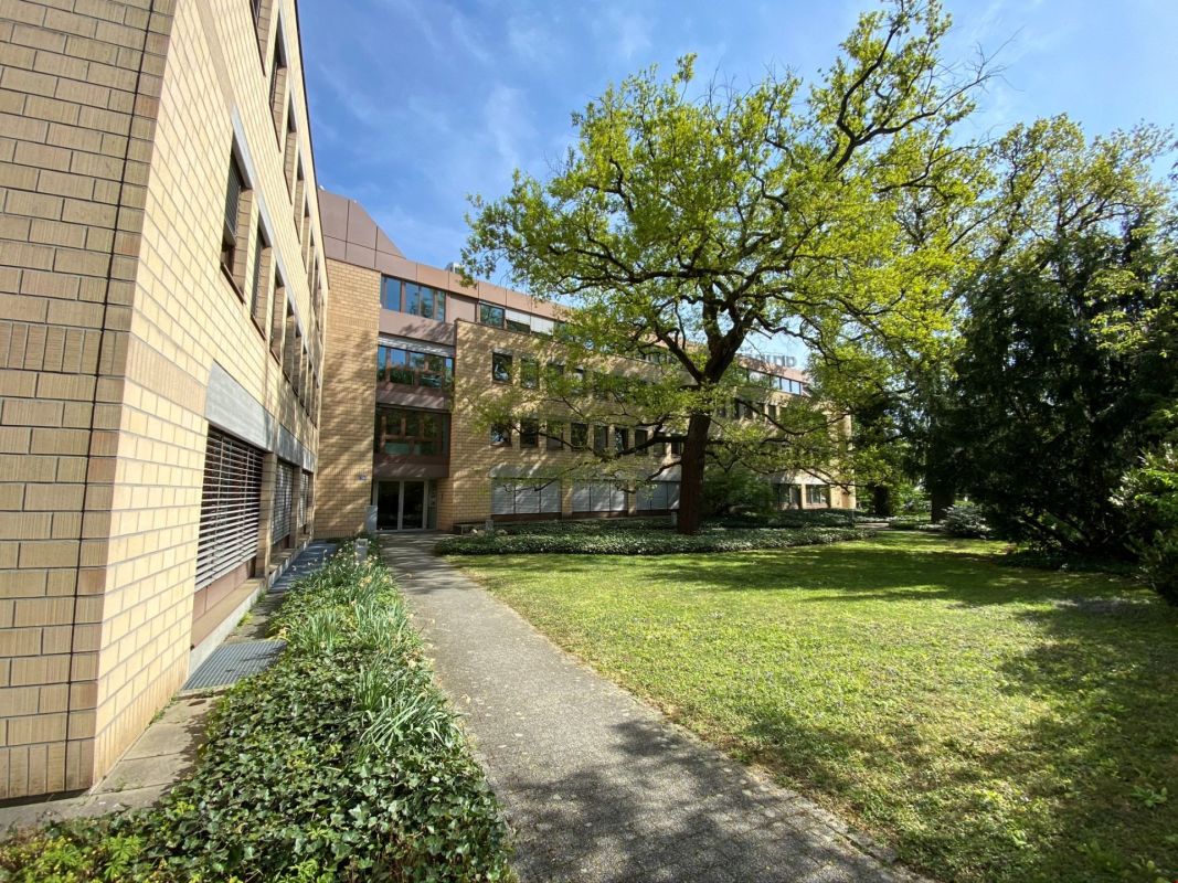 19m² office, photo 1 of 9