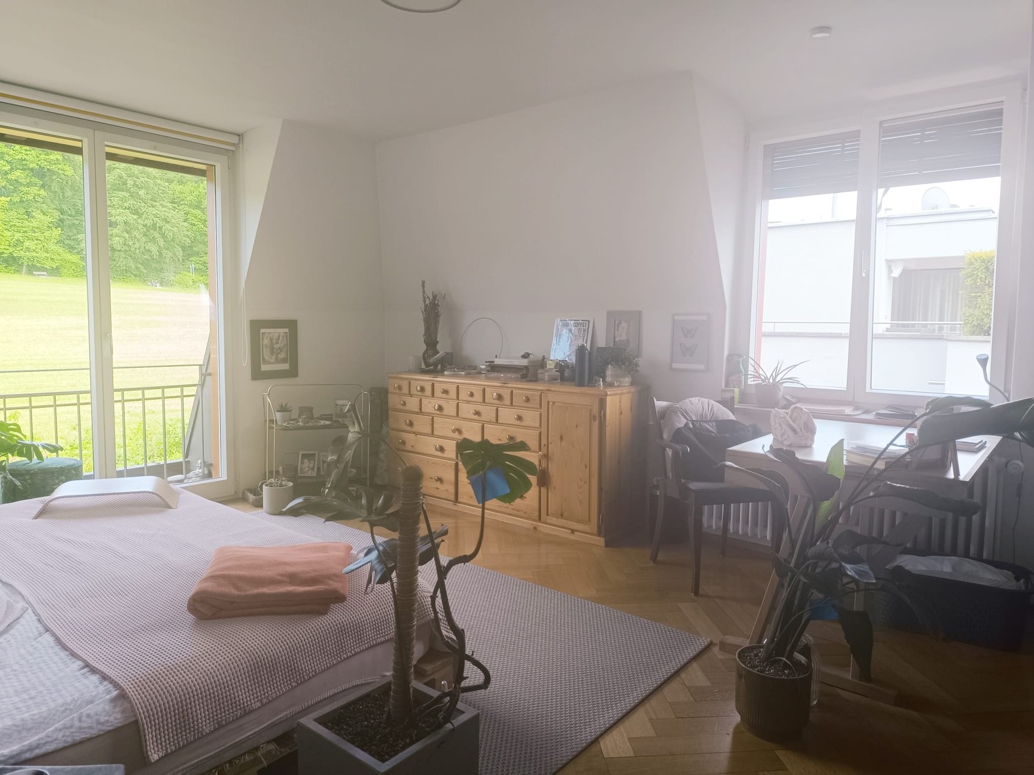 Room in a shared flat