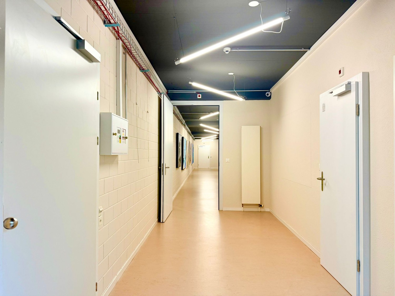 38m² commerciale
