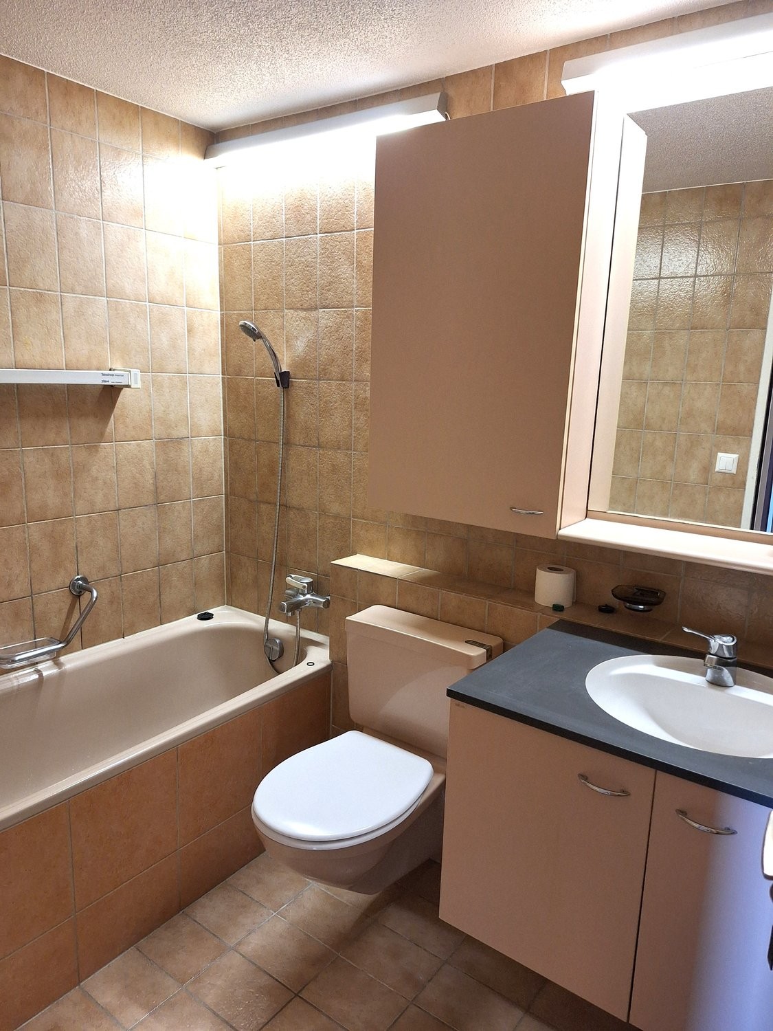 2 ½ rooms apartment