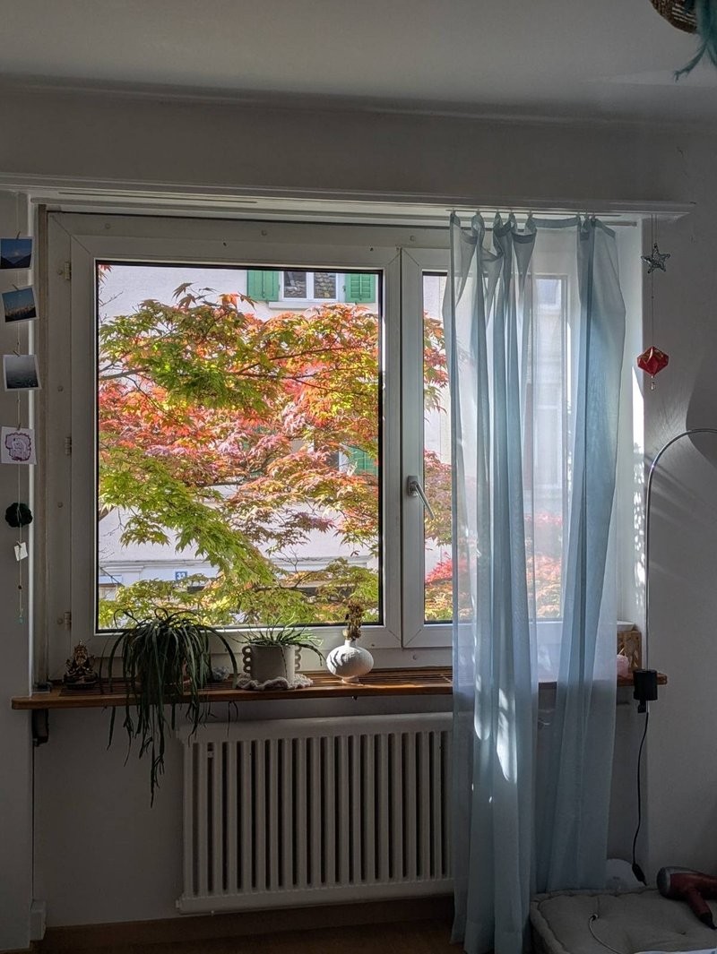 Room in a shared flat, photo 5 of 10
