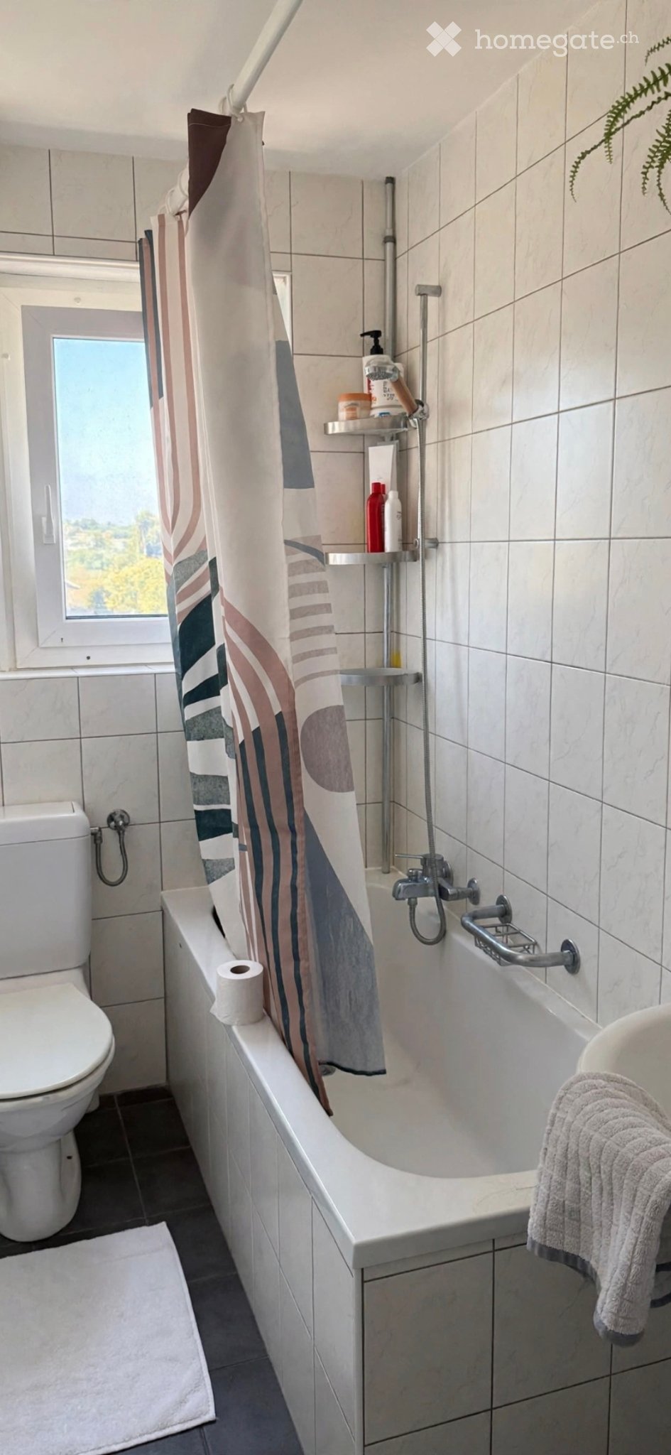 2 ½ rooms apartment