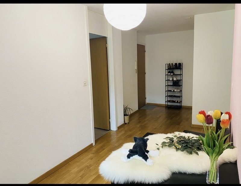 Chambre en colocation