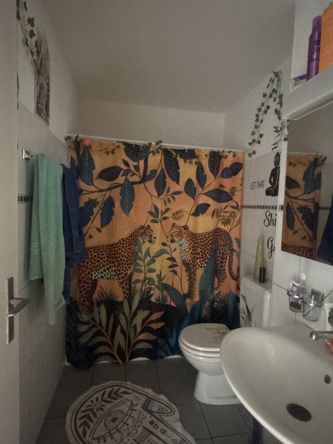 Room in a shared flat