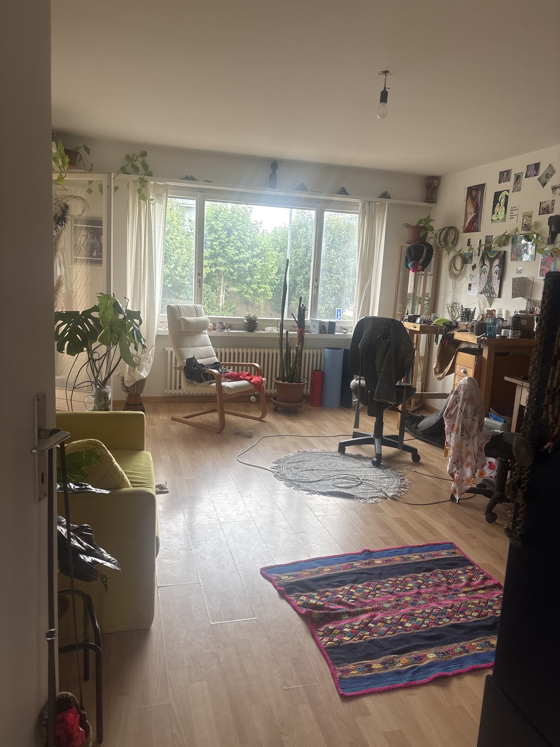 Room in a shared flat