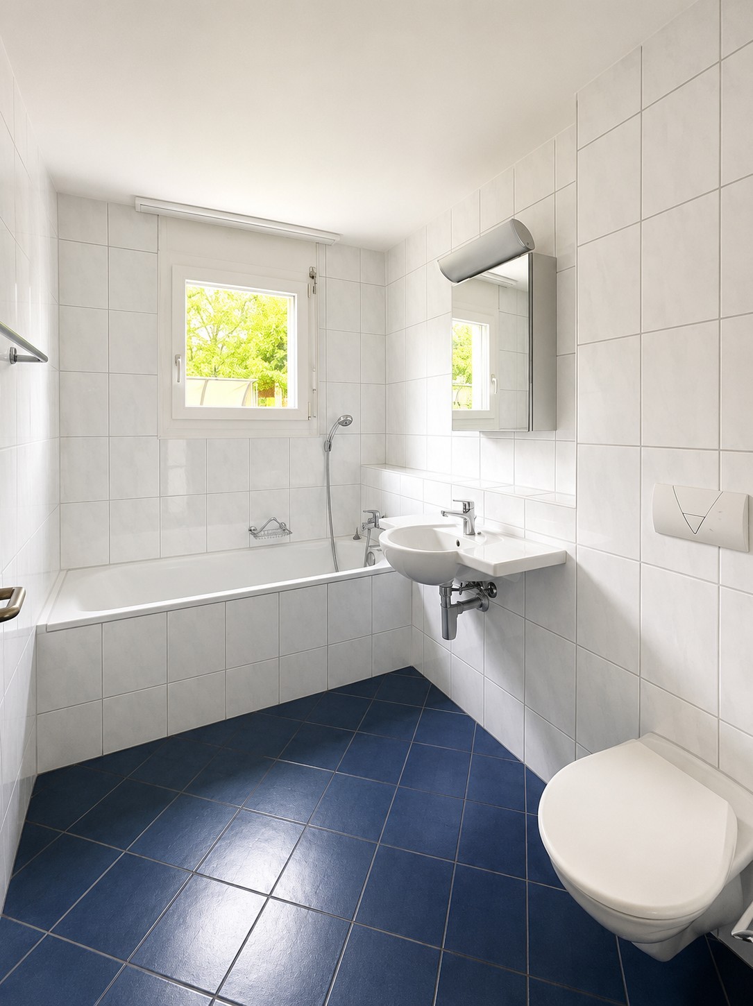 4 ½ rooms apartment