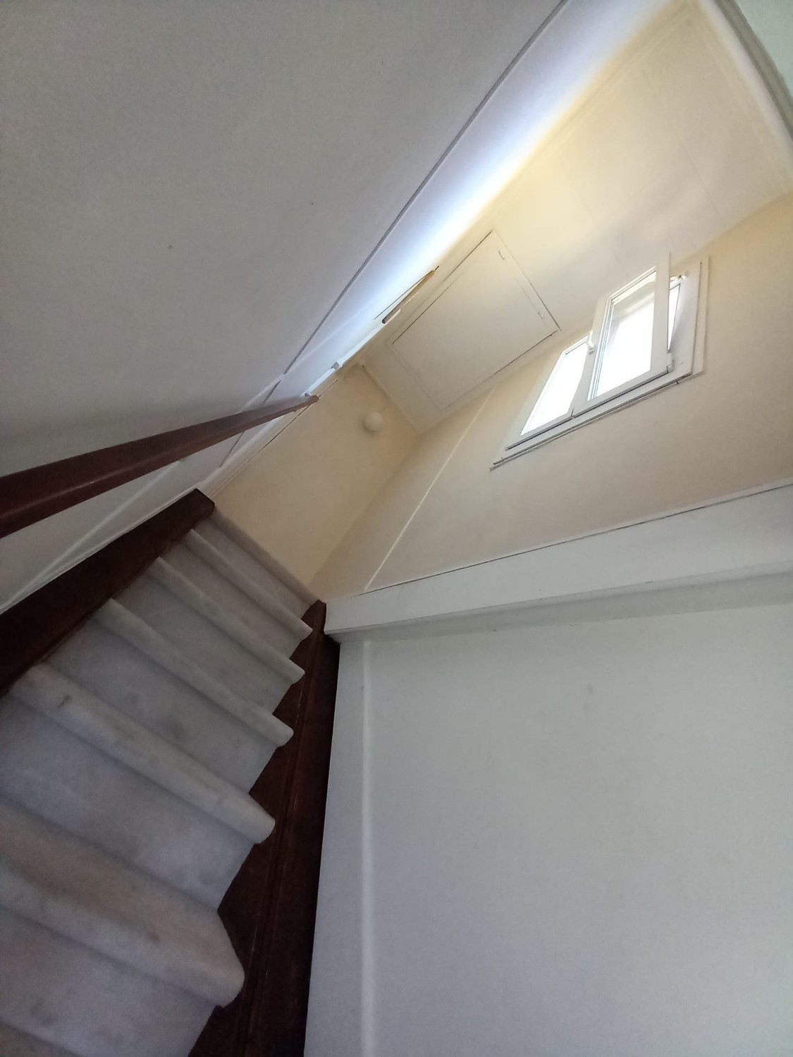3 ½ locali casa singola