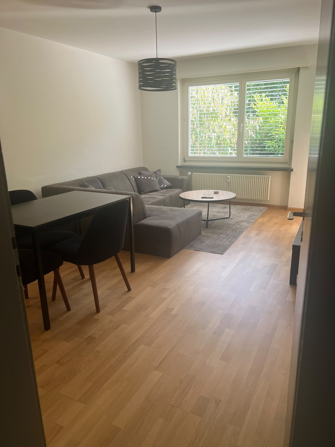Appartement de 3 ½ pièces