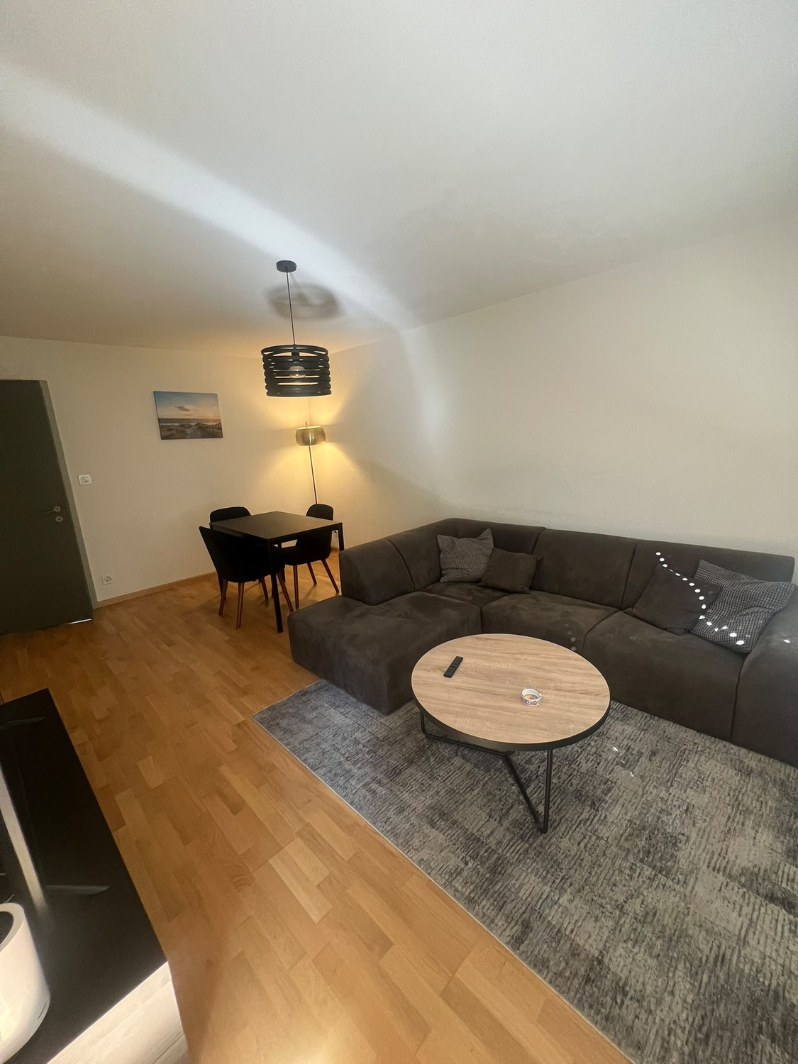 Appartement de 3 ½ pièces