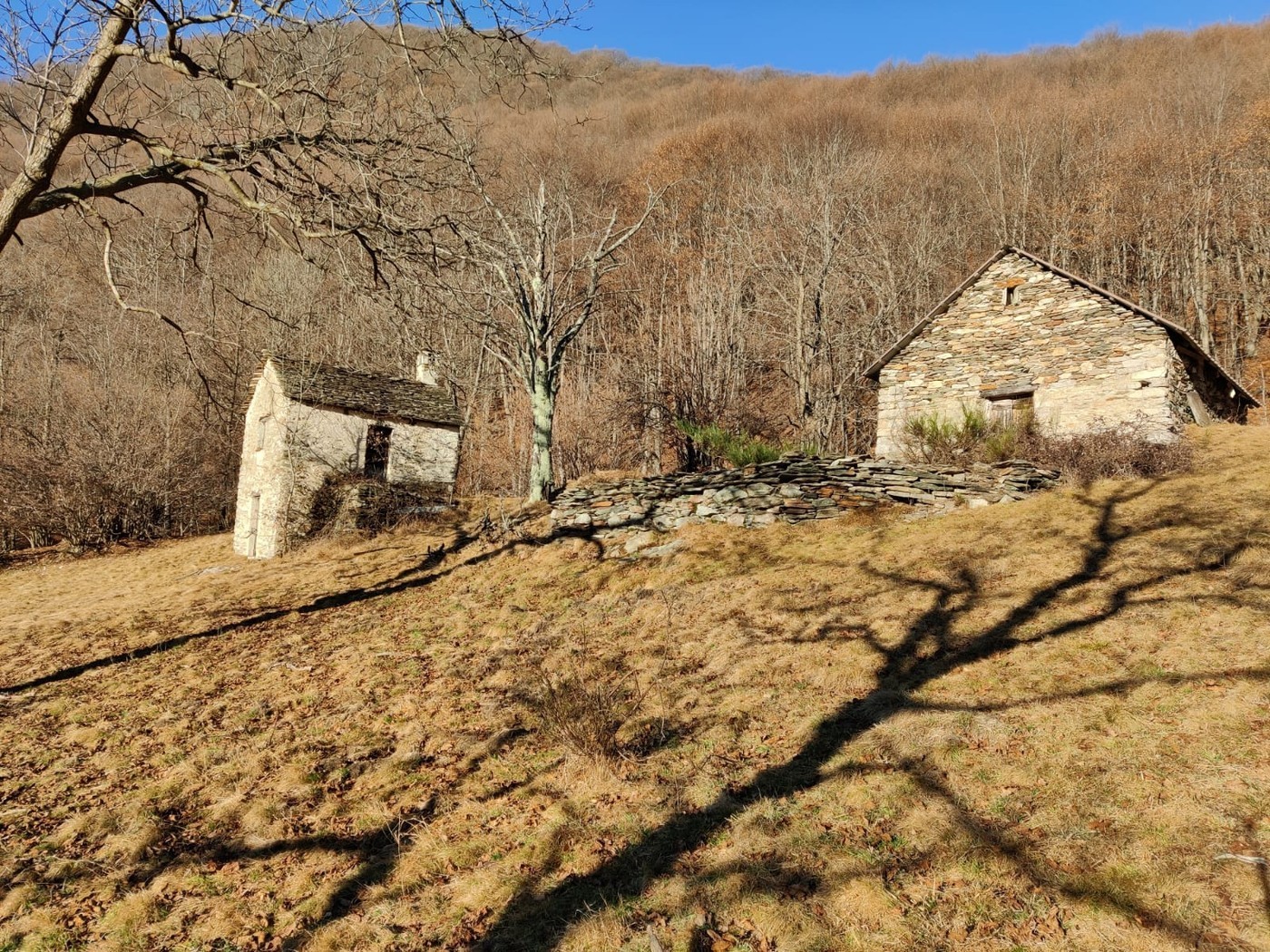 Maison individuelle de 2 pièces