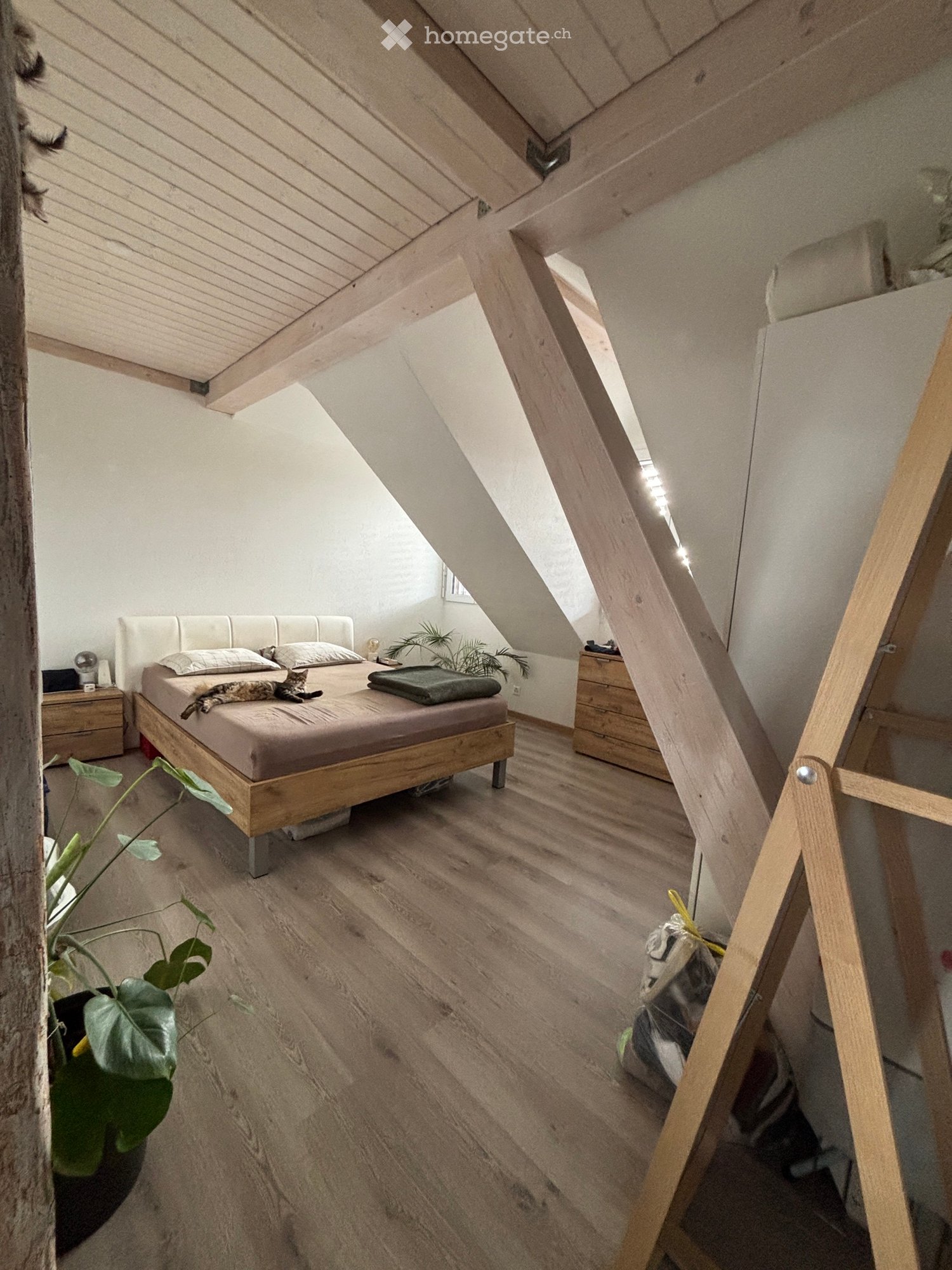 3 rooms apartment